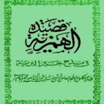 Logo of قصيدة الهمزية في مدح خير البرية android Application 